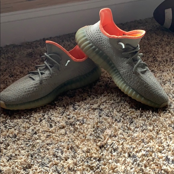 Yeezy boost 350 V2 Desert Sage - Picture 4 of 7